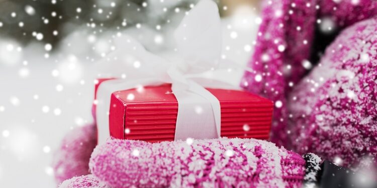 Christmas Gifts for Gardeners
