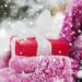 Christmas Gifts for Gardeners