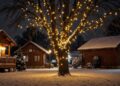 christmas garden decorations