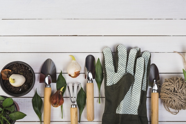  christmas gift of garden tools