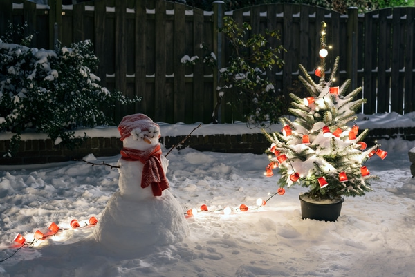 christmas in the garden