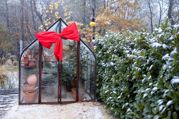 festive greenhouse