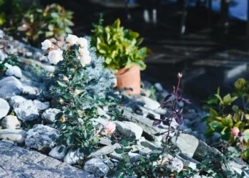 gravel garden design