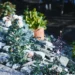 gravel garden design