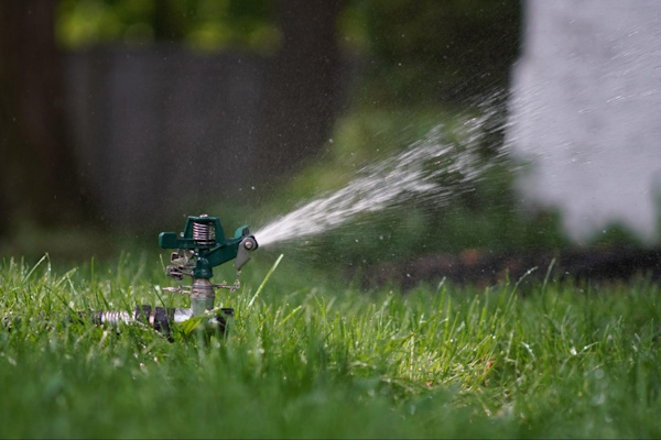 Proper Watering: Avoid a Common Mistake