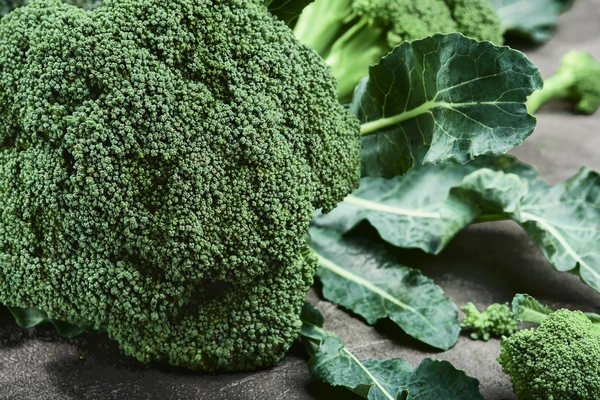 broccoli growing in garden