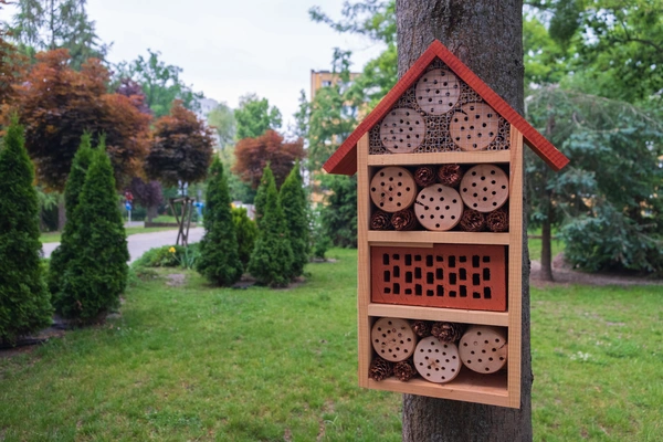 create a bug house with kids
