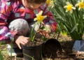 gardening for kids