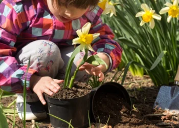 gardening for kids