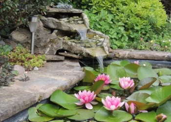 Garden Design Ideas to Transform Your Outdoor Space