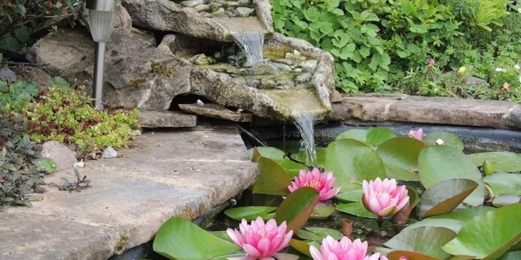 Garden Design Ideas to Transform Your Outdoor Space