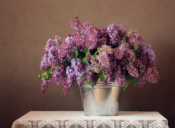 bouquet of lilacs