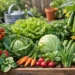12 Best Vegetables for Small Gardens at Home