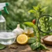 9 Natural Ways to Get Rid of Aphids at Home