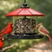 Best Bird Feeder for Cardinals That Works