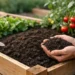 Best Soil for Raised Beds That Grows More