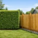 Hedges vs. Fencing: What Works for Your Yard?