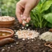 How to Keep Slugs Off Plants Naturally