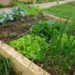 square foot gardening grid