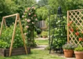 Your Guide to Garden Trellises for Every Space
