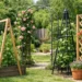 Your Guide to Garden Trellises for Every Space