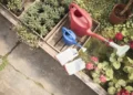 Low Maintenance Garden