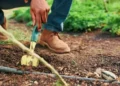 Raised Bed vs. In-Ground Gardening