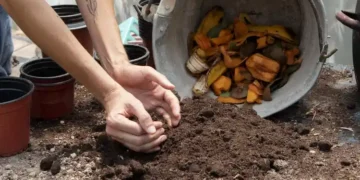 how much compost do I need