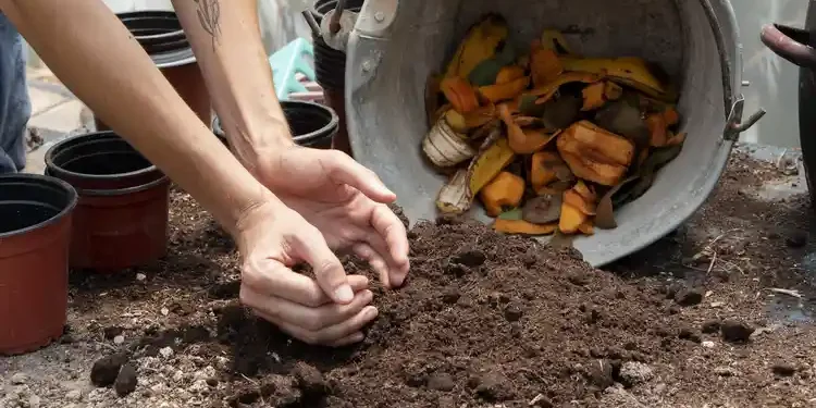 how much compost do I need
