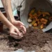 how much compost do I need