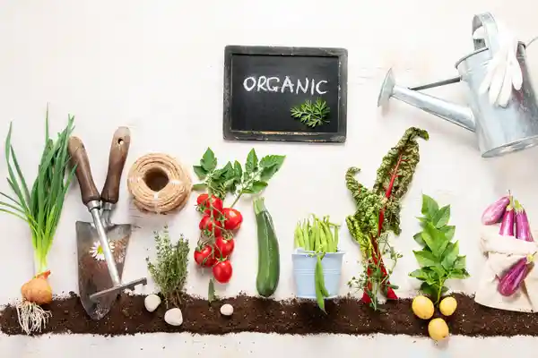 img of organic garden items