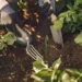 Getting Started with Organic Gardening