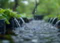 rainwater harvesting system