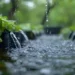 rainwater harvesting system