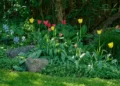 sustainable gardening ideas