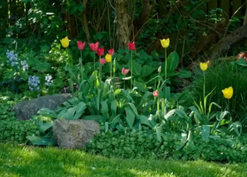 sustainable gardening ideas