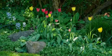 sustainable gardening ideas